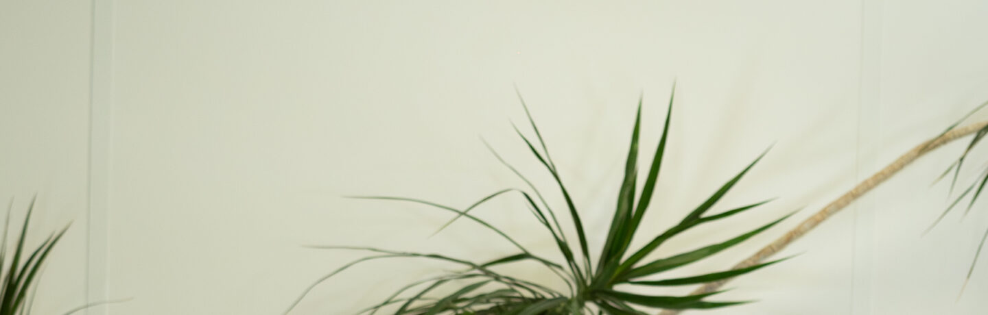 Vaut-il mieux consulter un ostéopathe ou un chiropracteur ?